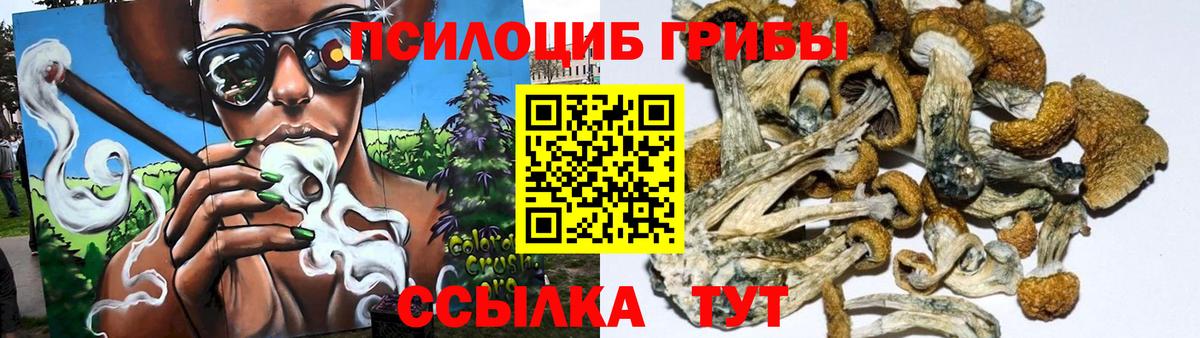 Галлюциногенные грибы ЛСД Владивосток