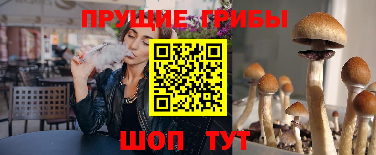 Псилоцибиновые грибы прущие грибы  Вход с VPN  Владивосток 